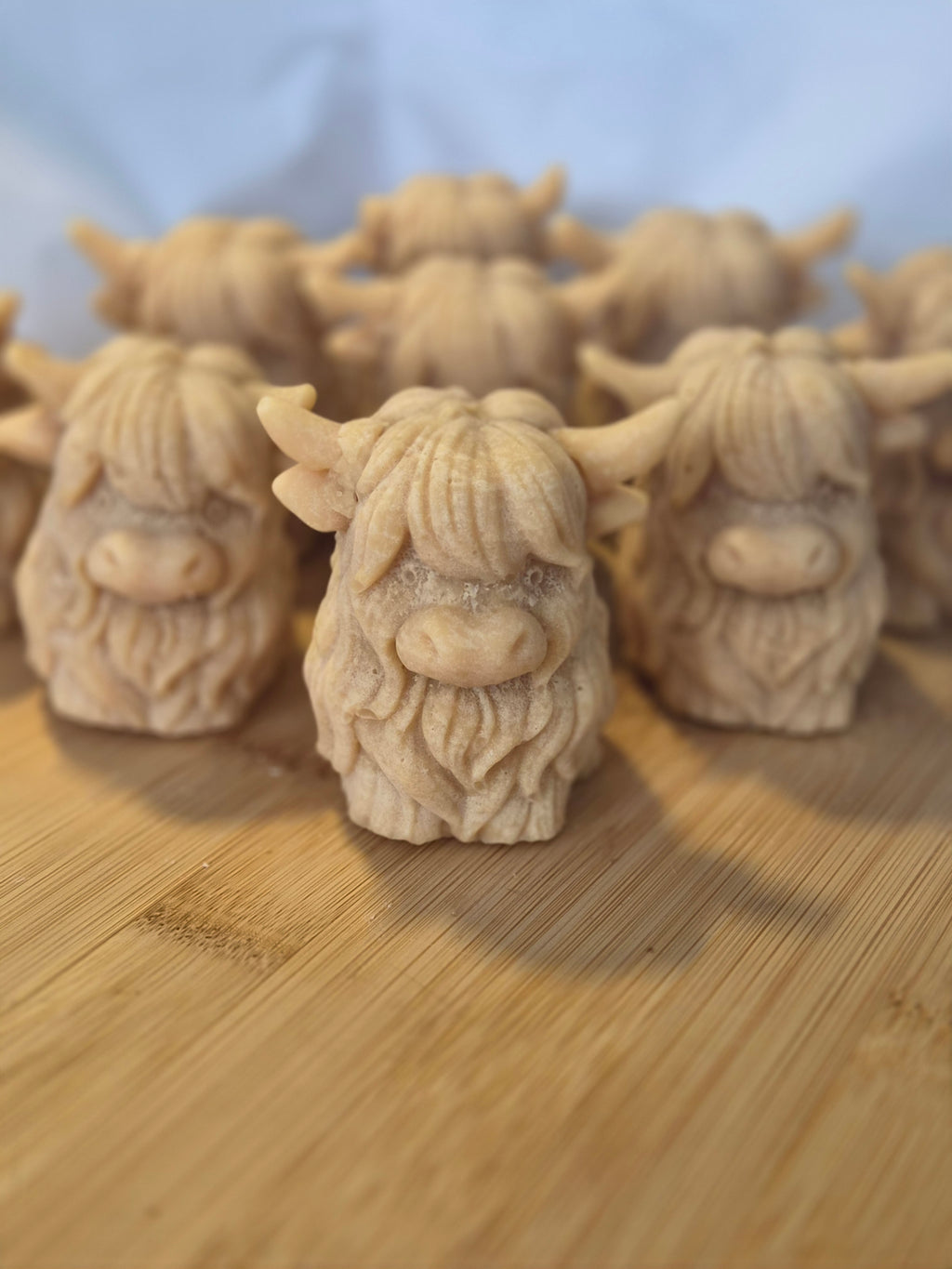 Bonnie the Tablet Heilan Coo