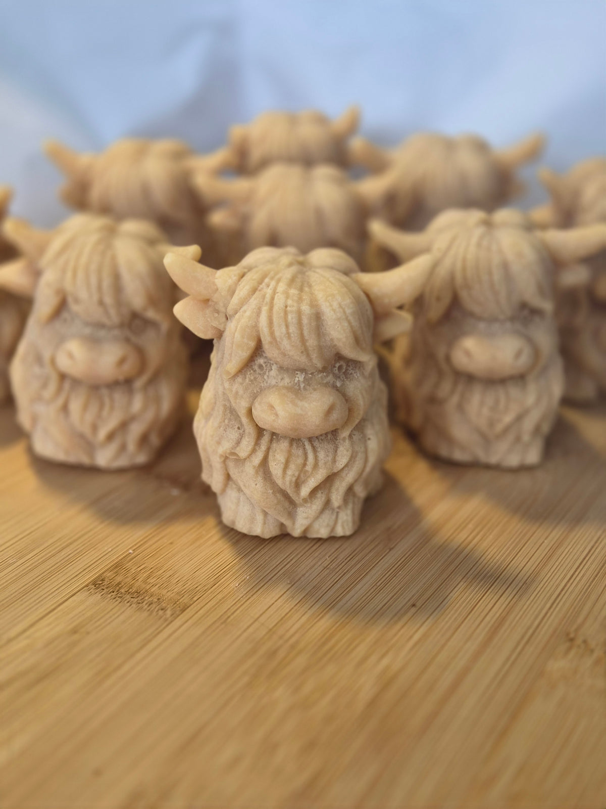 Bonnie the Tablet Heilan Coo