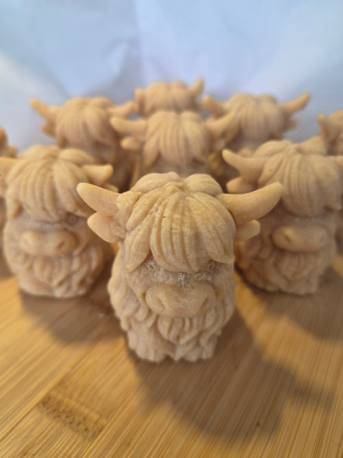 Bonnie the Tablet Heilan Coo